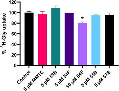 Investigations of potential non-amino acid SNAT2 inhibitors